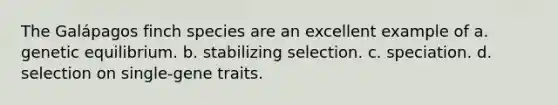 The Galápagos finch species are an excellent example of a. genetic equilibrium. b. stabilizing selection. c. speciation. d. selection on single-gene traits.