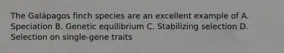 The Galápagos finch species are an excellent example of A. Speciation B. Genetic equilibrium C. Stabilizing selection D. Selection on single-gene traits