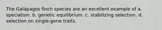 The Galápagos finch species are an excellent example of a. speciation. b. genetic equilibrium. c. stabilizing selection. d. selection on single-gene traits.