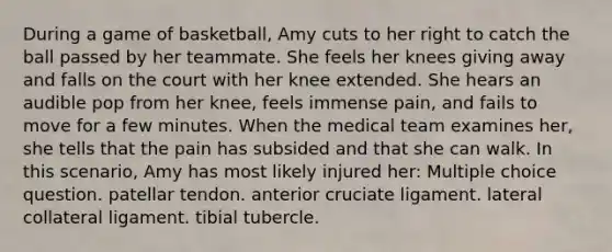 During a game of basketball, Amy cuts to her right to catch the ball passed by her teammate. She feels her knees giving away and falls on the court with her knee extended. She hears an audible pop from her knee, feels immense pain, and fails to move for a few minutes. When the medical team examines her, she tells that the pain has subsided and that she can walk. In this scenario, Amy has most likely injured her: Multiple choice question. patellar tendon. anterior cruciate ligament. lateral collateral ligament. tibial tubercle.