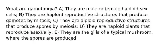 What are gametangia? A) They are male or female haploid sex cells; B) They are haploid reproductive structures that produce gametes by mitosis; C) They are diploid reproductive structures that produce spores by meiosis; D) They are haploid plants that reproduce asexually; E) They are the gills of a typical mushroom, where the spores are produced