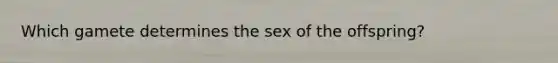 Which gamete determines the sex of the offspring?