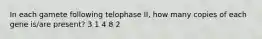 In each gamete following telophase II, how many copies of each gene is/are present? 3 1 4 8 2