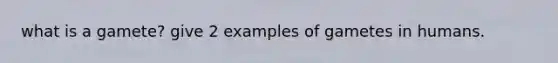 what is a gamete? give 2 examples of gametes in humans.