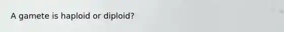 A gamete is haploid or diploid?