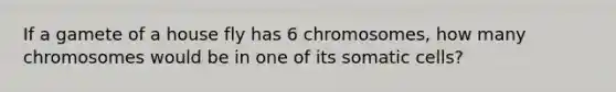 If a gamete of a house fly has 6 chromosomes, how many chromosomes would be in one of its somatic cells?