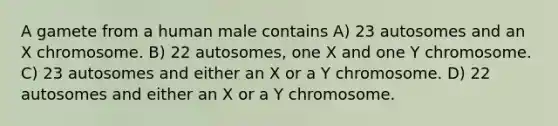 A gamete from a human male contains A) 23 autosomes and an X chromosome. B) 22 autosomes, one X and one Y chromosome. C) 23 autosomes and either an X or a Y chromosome. D) 22 autosomes and either an X or a Y chromosome.