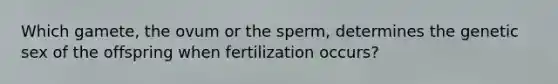 Which gamete, the ovum or the sperm, determines the genetic sex of the offspring when fertilization occurs?