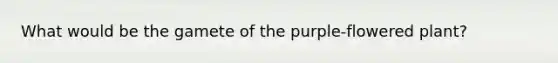 What would be the gamete of the purple-flowered plant?