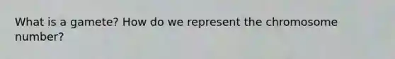 What is a gamete? How do we represent the chromosome number?