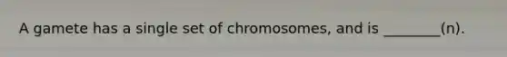 A gamete has a single set of chromosomes, and is ________(n).