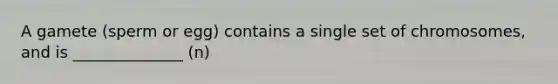 A gamete (sperm or egg) contains a single set of chromosomes, and is ______________ (n)