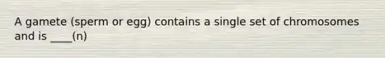 A gamete (sperm or egg) contains a single set of chromosomes and is ____(n)