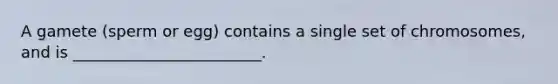 A gamete (sperm or egg) contains a single set of chromosomes, and is ________________________.