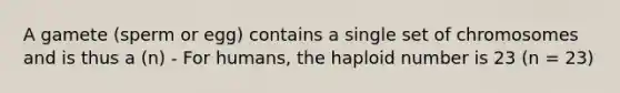 A gamete (sperm or egg) contains a single set of chromosomes and is thus a (n) - For humans, the haploid number is 23 (n = 23)