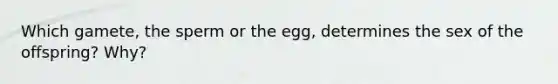 Which gamete, the sperm or the egg, determines the sex of the offspring? Why?