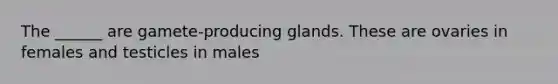 The ______ are gamete-producing glands. These are ovaries in females and testicles in males