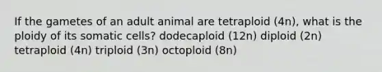 If the gametes of an adult animal are tetraploid (4n), what is the ploidy of its somatic cells? dodecaploid (12n) diploid (2n) tetraploid (4n) triploid (3n) octoploid (8n)