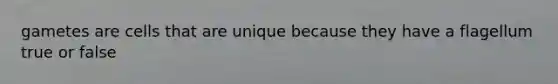 gametes are cells that are unique because they have a flagellum true or false