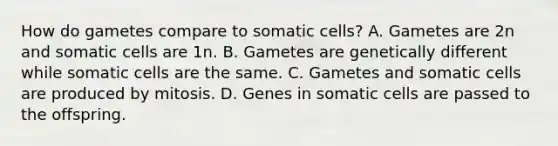 How do gametes compare to somatic cells? A. Gametes are 2n and somatic cells are 1n. B. Gametes are genetically different while somatic cells are the same. C. Gametes and somatic cells are produced by mitosis. D. Genes in somatic cells are passed to the offspring.