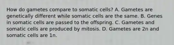 How do gametes compare to somatic cells? A. Gametes are genetically different while somatic cells are the same. B. Genes in somatic cells are passed to the offspring. C. Gametes and somatic cells are produced by mitosis. D. Gametes are 2n and somatic cells are 1n.