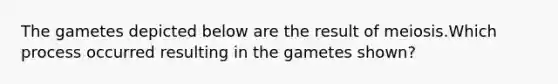 The gametes depicted below are the result of meiosis.Which process occurred resulting in the gametes shown?
