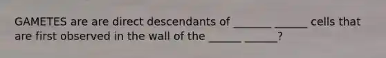 GAMETES are are direct descendants of _______ ______ cells that are first observed in the wall of the ______ ______?