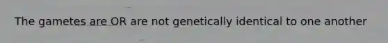 The gametes are OR are not genetically identical to one another