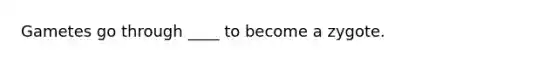 Gametes go through ____ to become a zygote.