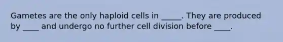 Gametes are the only haploid cells in _____. They are produced by ____ and undergo no further cell division before ____.