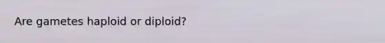 Are gametes haploid or diploid?