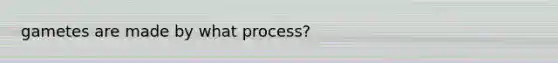 gametes are made by what process?