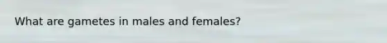 What are gametes in males and females?