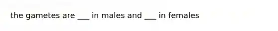 the gametes are ___ in males and ___ in females