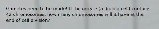 Gametes need to be made! If the oocyte (a diploid cell) contains 42 chromosomes, how many chromosomes will it have at the end of cell division?