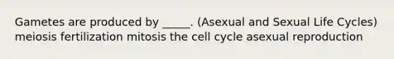 Gametes are produced by _____. (Asexual and Sexual Life Cycles) meiosis fertilization mitosis the <a href='https://www.questionai.com/knowledge/keQNMM7c75-cell-cycle' class='anchor-knowledge'>cell cycle</a> asexual reproduction