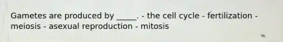 Gametes are produced by _____. - the cell cycle - fertilization - meiosis - asexual reproduction - mitosis