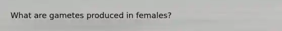 What are gametes produced in females?