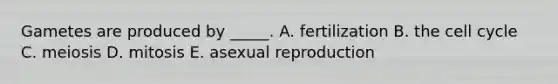 Gametes are produced by _____. A. fertilization B. the cell cycle C. meiosis D. mitosis E. asexual reproduction