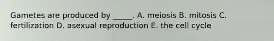 Gametes are produced by _____. A. meiosis B. mitosis C. fertilization D. asexual reproduction E. the cell cycle