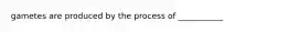 gametes are produced by the process of ___________