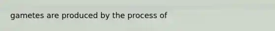 gametes are produced by the process of