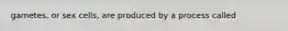 gametes, or sex cells, are produced by a process called