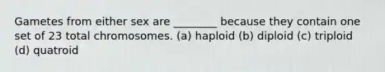 Gametes from either sex are ________ because they contain one set of 23 total chromosomes. (a) haploid (b) diploid (c) triploid (d) quatroid