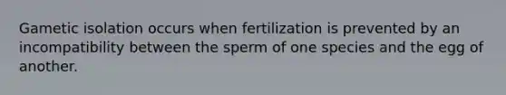 Gametic isolation occurs when fertilization is prevented by an incompatibility between the sperm of one species and the egg of another.