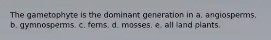 The gametophyte is the dominant generation in a. angiosperms. b. gymnosperms. c. ferns. d. mosses. e. all land plants.