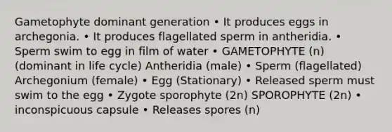 Gametophyte dominant generation • It produces eggs in archegonia. • It produces flagellated sperm in antheridia. • Sperm swim to egg in film of water • GAMETOPHYTE (n) (dominant in life cycle) Antheridia (male) • Sperm (flagellated) Archegonium (female) • Egg (Stationary) • Released sperm must swim to the egg • Zygote sporophyte (2n) SPOROPHYTE (2n) • inconspicuous capsule • Releases spores (n)