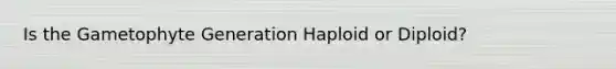 Is the Gametophyte Generation Haploid or Diploid?