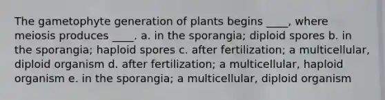 The gametophyte generation of plants begins ____, where meiosis produces ____. a. in the sporangia; diploid spores b. in the sporangia; haploid spores c. after fertilization; a multicellular, diploid organism d. after fertilization; a multicellular, haploid organism e. in the sporangia; a multicellular, diploid organism