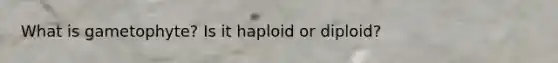 What is gametophyte? Is it haploid or diploid?